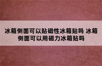 冰箱侧面可以贴磁性冰箱贴吗 冰箱侧面可以用磁力冰箱贴吗